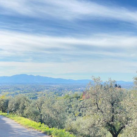 Leonardo Da Vinci - Appartamento Nel Verde Con Parcheggio E Wi-Fi エクステリア 写真