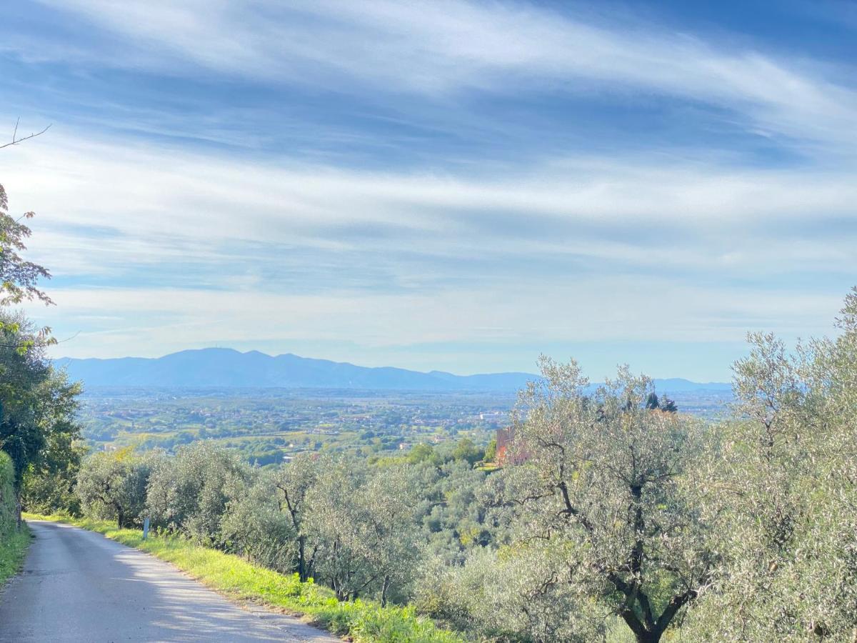 Leonardo Da Vinci - Appartamento Nel Verde Con Parcheggio E Wi-Fi エクステリア 写真